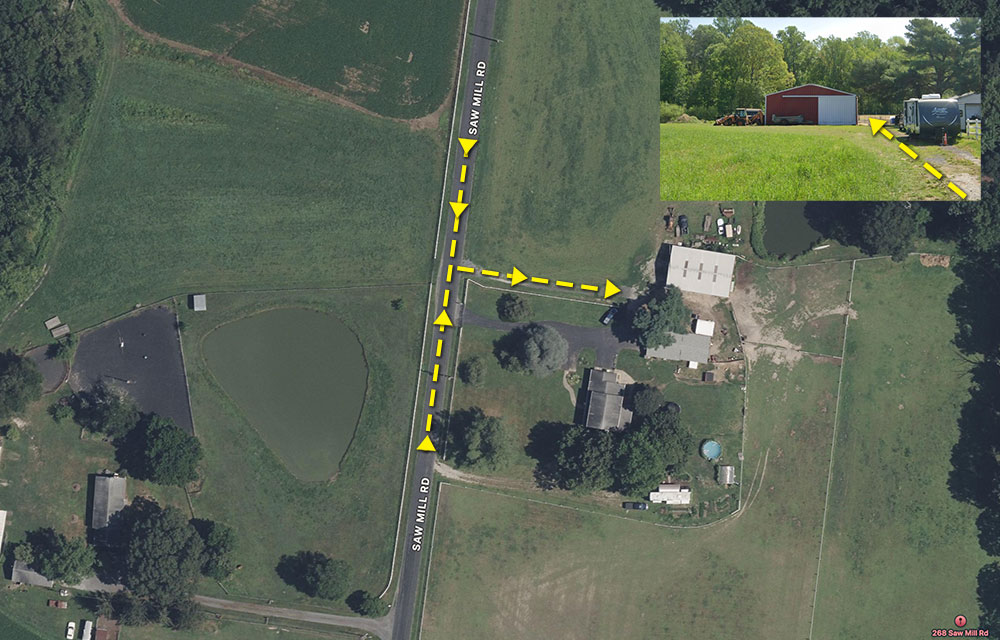 Renewed Life Christian Counseling Center Equine Assisted Psychotherapy