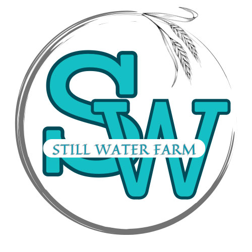 Renewed Life Christian Counseling Center location inside Still Water Farm Wellness Center